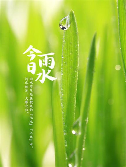 顾玉云说道