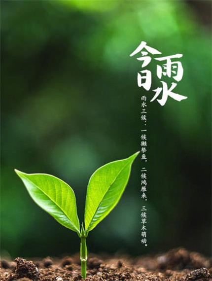 山谷谣言2.