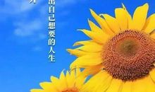 人生励志的句子经典语句