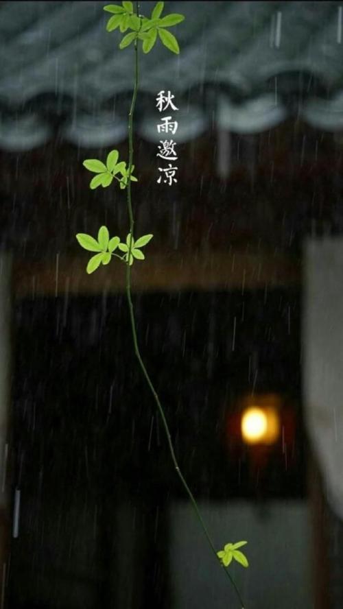 夜雨诗
