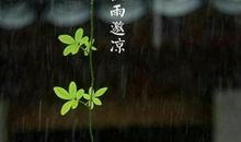夜雨的诗句