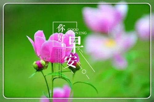 给我一个追求女孩的好时机