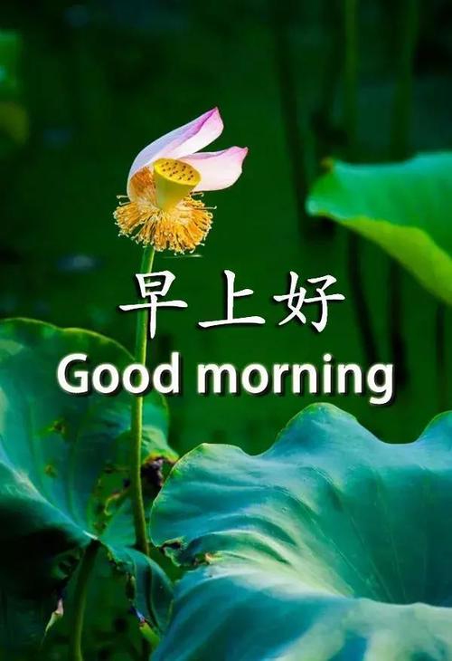 早餐给客户达成