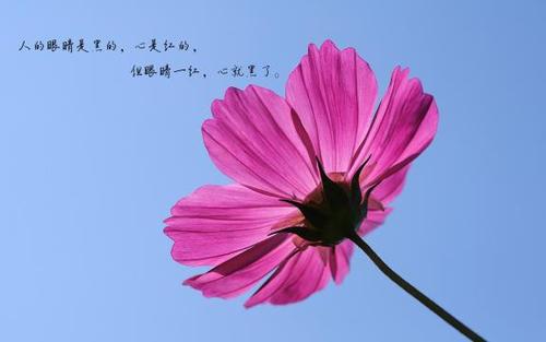 看到人类的心灵