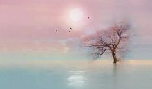 说说里伤感的句子爱情句子