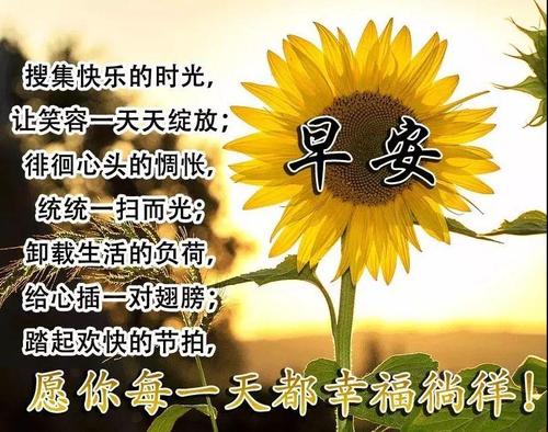 四月的问候