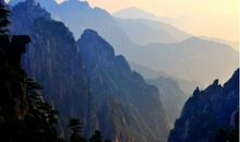 用露着鼓着造句