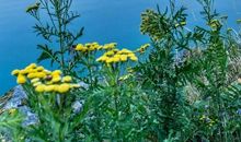 描写江南风景发朋友圈说说