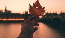 让人失望心寒的诗句