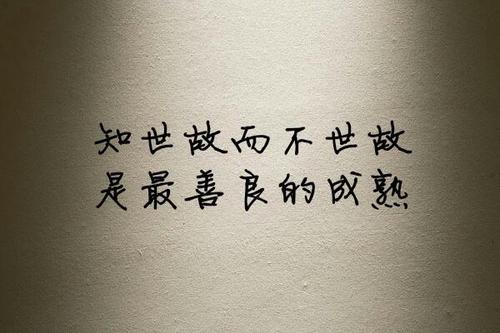 抖音关于生活经典句子
