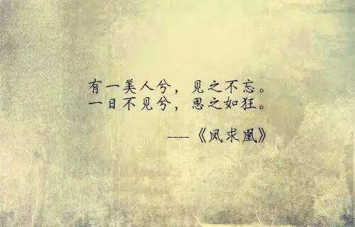 情人节浪漫
