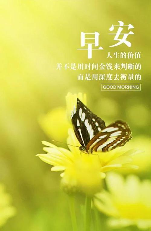 日常积极能量报价2021