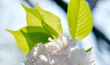 有意境的八字短句激励