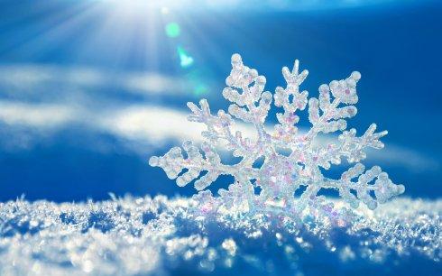 关于冬天雪的诗