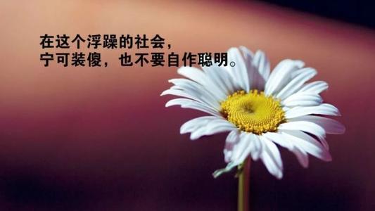 春季鼓舞人心的报价短句动机短暂