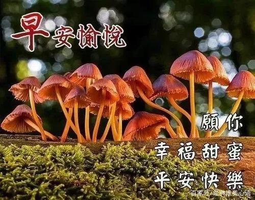 2020太难了