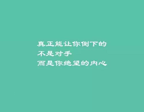 我每天都要送一圈圈子。