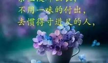 伤感句子短句心痛