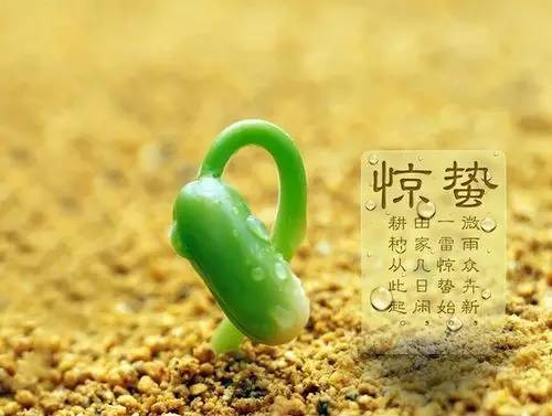 二十四节油门