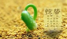 二十四节气惊蛰诗词