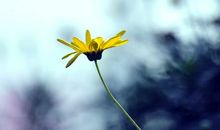 正能量微信签名一句话