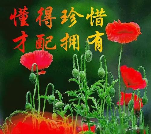 早上好祝福