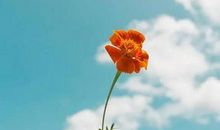 2021犀利的朋友圈说说