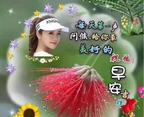 3月8日问候