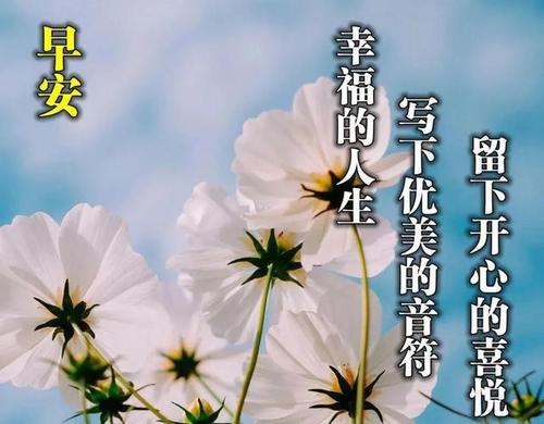2021美丽的判决