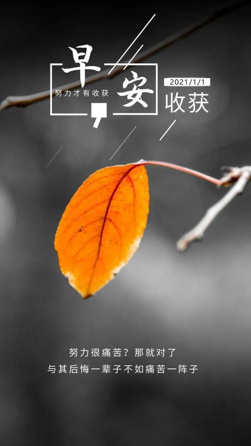 2021年句子的积极能量