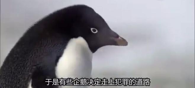 世界可以嘲笑这个笑话短句