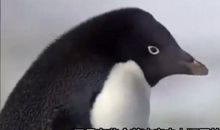 世界上能笑死人的笑话剪短一句话