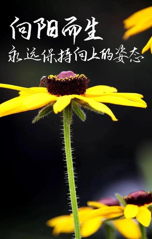 2021正能量阳光判决