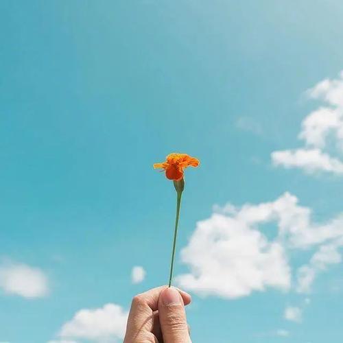 妹妹结婚发朋友圈说说2021