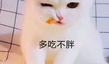 不开心的好烦的句子朋友圈