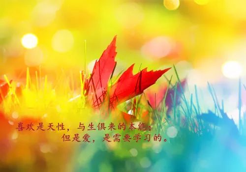 悲伤的简单悲伤