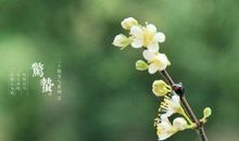 关于惊蛰节气8个字的诗句