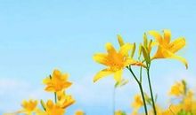 2021最新经典语录