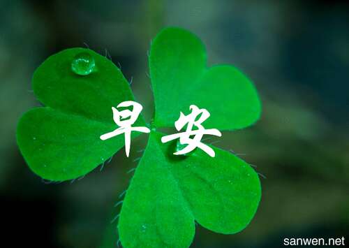 如果你喜欢这个女孩说早上好