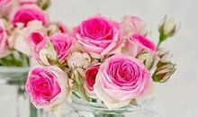 2021抖音婚礼上最火句子