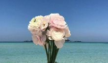 微信签名经一句话霸气致自己