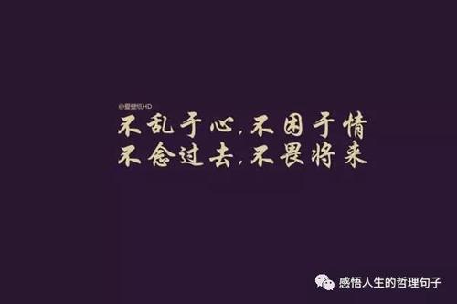 一句话一句话