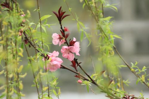 你好，3月2日