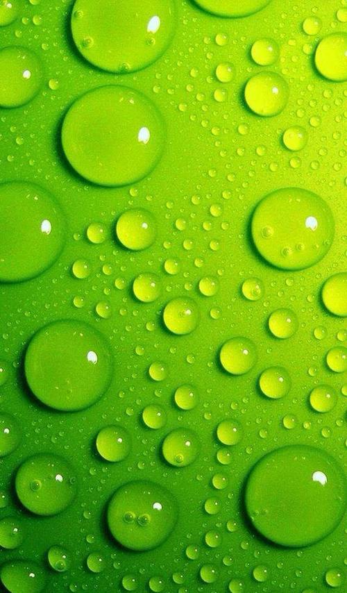 友谊句的认证1