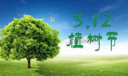 树种植节日环境推广3