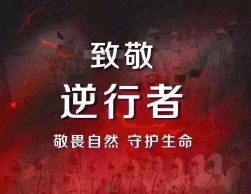 新冠状病毒预防宣传宣传口号2021防疫防治征收2