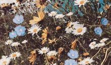 妇女节运动会口号