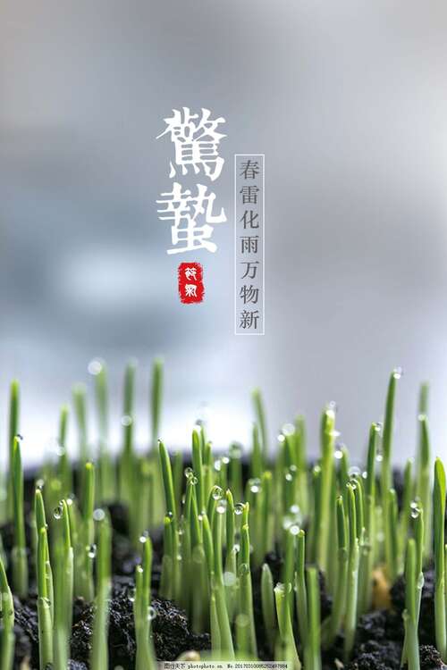 关于恐怖节气门10字第2字