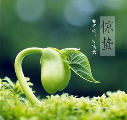 恐怖节气门的10个字诗