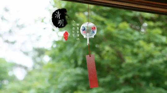 清明节谈到它1